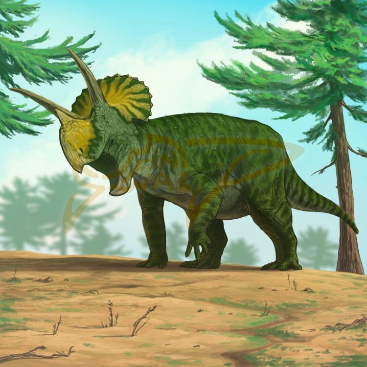1621582322_commission__triceratops_by_finwalsmd_dejwvit-fullview.jpg